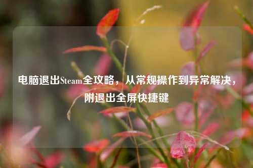 电脑退出Steam全攻略,从常规操作到异常解决,附退出全屏快捷键