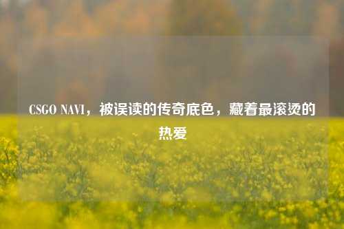 CSGO NAVI,被误读的传奇底色,藏着最滚烫的热爱