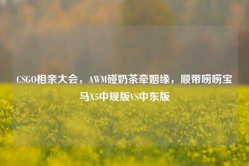 CSGO相亲大会,AWM碰奶茶牵姻缘,顺带唠唠宝马X5中规版VS中东版