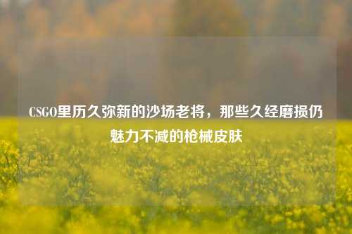 CSGO里历久弥新的沙场老将,那些久经磨损仍魅力不减的枪械皮肤