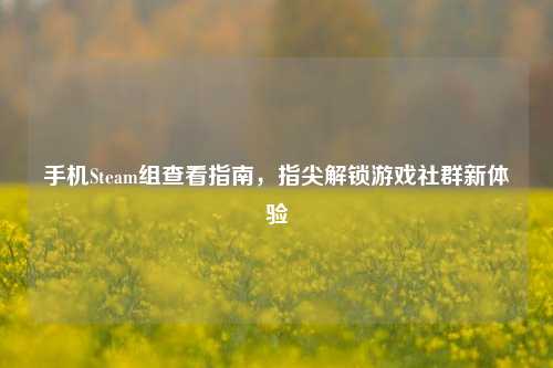 手机Steam组查看指南,指尖解锁游戏社群新体验