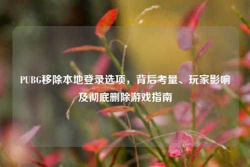 PUBG移除本地登录选项，背后考量、玩家影响及彻底删除游戏指南