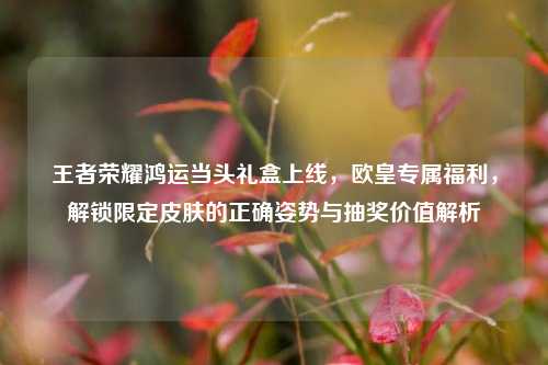 王者荣耀鸿运当头礼盒上线,欧皇专属福利,解锁限定皮肤的正确姿势与抽奖价值解析