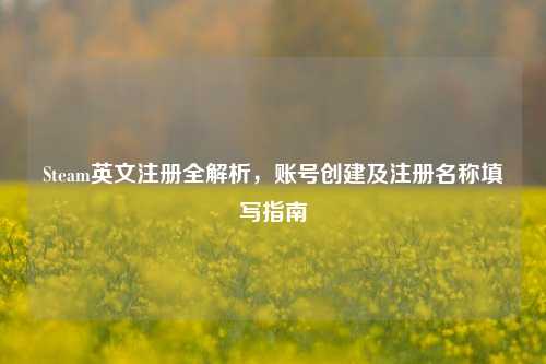 Steam英文注册全解析，账号创建及注册名称填写指南