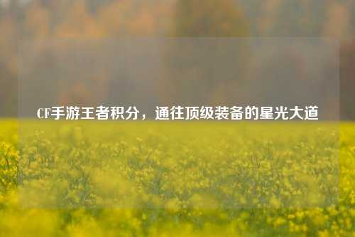CF手游王者积分,通往顶级装备的星光大道