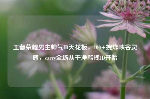 王者荣耀男生帅气ID天花板,100+拽炸峡谷灵感,carry全场从干净酷拽ID开始