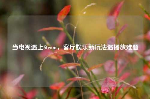 当电视遇上Steam,客厅娱乐新玩法遇播放难题