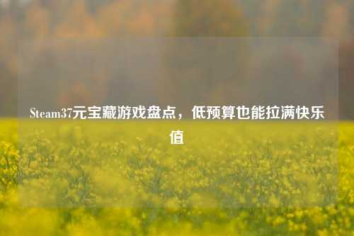 Steam37元宝藏游戏盘点,低预算也能拉满快乐值