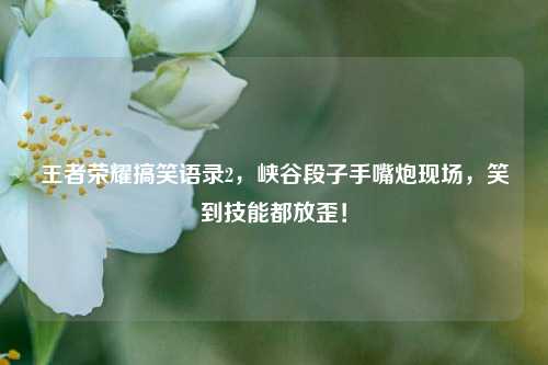 王者荣耀搞笑语录2,峡谷段子手嘴炮现场,笑到技能都放歪!