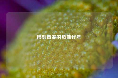 镌刻青春的热血代号