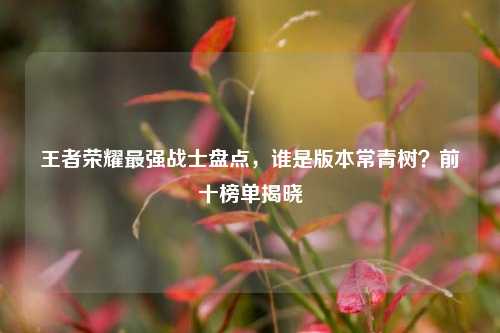 王者荣耀最强战士盘点,谁是版本常青树?前十榜单揭晓