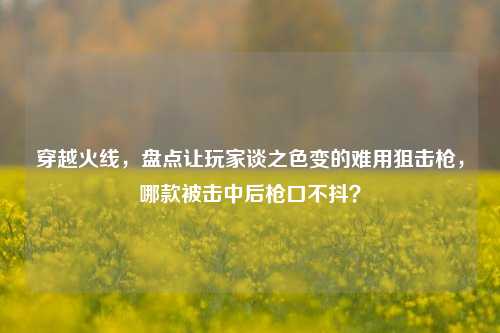 穿越火线,盘点让玩家谈之色变的难用狙击枪,哪款被击中后枪口不抖?