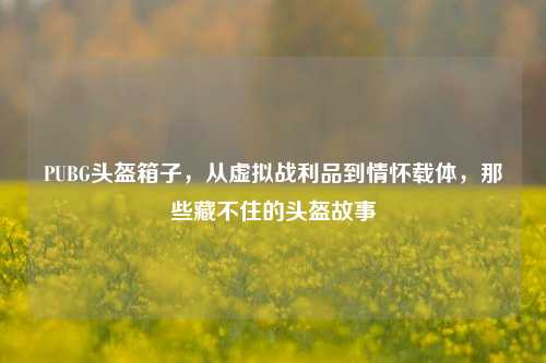 PUBG头盔箱子,从虚拟战利品到情怀载体,那些藏不住的头盔故事