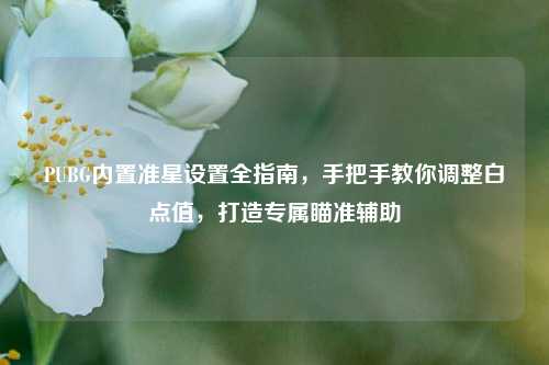 PUBG内置准星设置全指南,手把手教你调整白点值,打造专属瞄准辅助