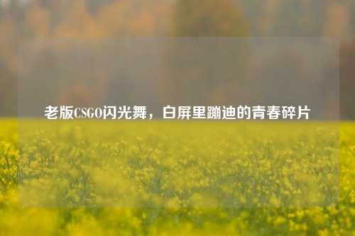老版CSGO闪光舞,白屏里蹦迪的青春碎片