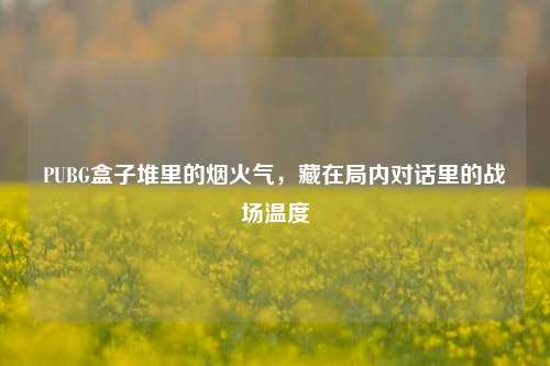 PUBG盒子堆里的烟火气,藏在局内对话里的战场温度