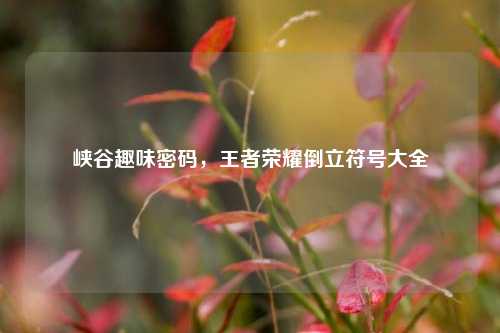 峡谷趣味密码,王者荣耀倒立符号大全