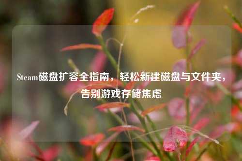 Steam磁盘扩容全指南,轻松新建磁盘与文件夹,告别游戏存储焦虑