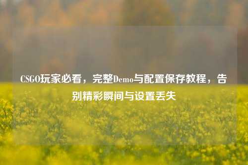 CSGO玩家必看,完整Demo与配置保存教程,告别精彩瞬间与设置丢失