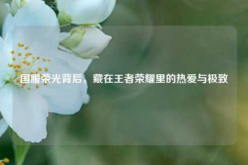 国服荣光背后,藏在王者荣耀里的热爱与极致