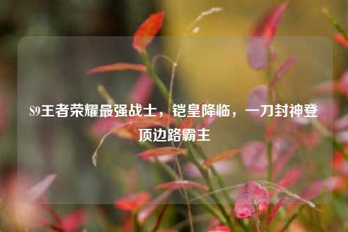 S9王者荣耀最强战士,铠皇降临,一刀封神登顶边路霸主