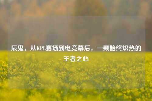 辰鬼,从KPL赛场到电竞幕后,一颗始终炽热的王者之心