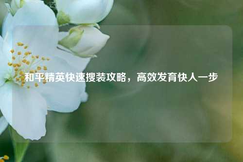 和平精英快速搜装攻略,高效发育快人一步