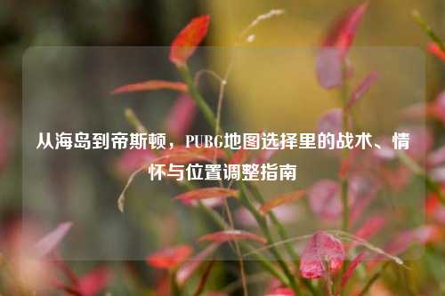从海岛到帝斯顿,PUBG地图选择里的战术、情怀与位置调整指南