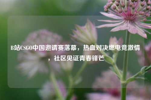 B站CSGO中国邀请赛落幕,热血对决燃电竞***,社区见证青春锋芒