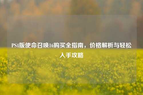 PS4版使命召唤16购买全指南,价格解析与轻松入手攻略