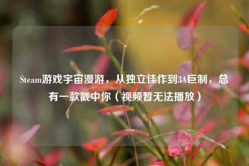 Steam游戏宇宙漫游,从独立佳作到3A巨制,总有一款戳中你(视频暂无法播放)