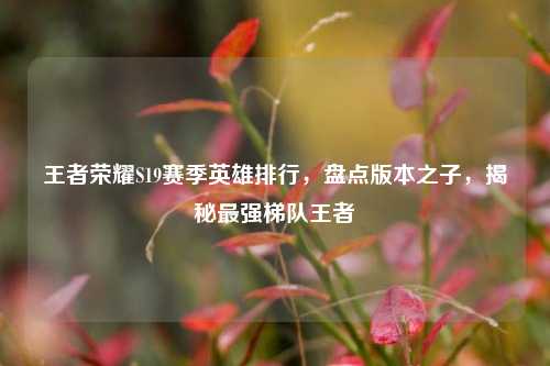 王者荣耀S19赛季英雄排行,盘点版本之子,揭秘最强梯队王者