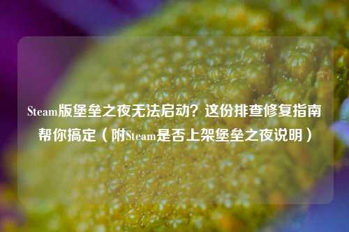 Steam版堡垒之夜无法启动?这份排查修复指南帮你搞定(附Steam是否上架堡垒之夜说明)