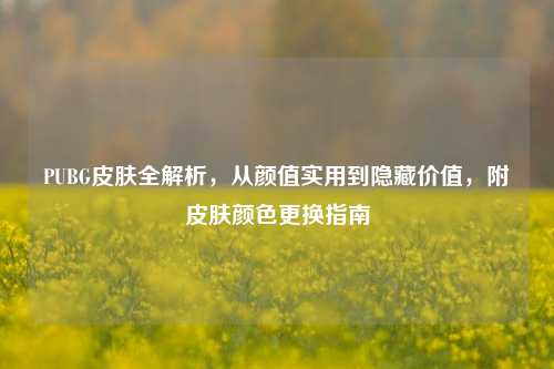 PUBG皮肤全解析,从颜值实用到隐藏价值,附皮肤颜色更换指南
