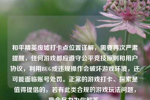和平精英废墟打卡点位置详解,需要再次严肃提醒,任何游戏都应遵守公平竞技原则和用户协议,利用BUG或违规操作会破坏游戏环境,还可能面临账号处罚。正常的游戏打卡、探索是值得提倡的,若有此类合规的游戏玩法问题,我会尽力为你解答。