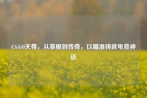 CS:GO天尊,从草根到传奇,以瞄准铸就电竞神话