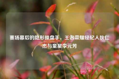 赛场幕后的隐形操盘手,王者荣耀经纪人狄仁杰与童星李元芳
