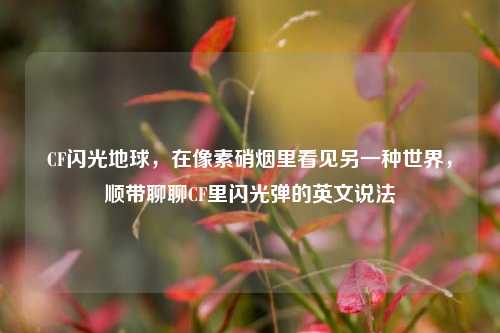 CF闪光地球,在像素硝烟里看见另一种世界,顺带聊聊CF里闪光弹的英文说法
