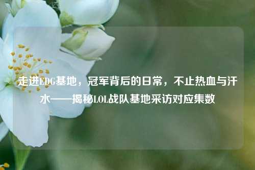 走进EDG基地,冠军背后的日常,不止热血与汗水——揭秘LOL战队基地采访对应集数