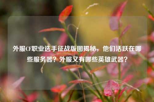 外服CF职业选手征战版图揭秘,他们活跃在哪些服务器?外服又有哪些英雄武器?