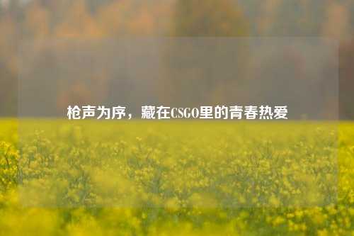 枪声为序,藏在CSGO里的青春热爱