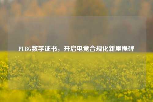 PUBG数字证书,开启电竞合规化新里程碑