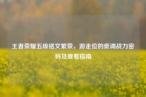 王者荣耀五级铭文繁荣,游走位的低调战力密码及查看指南