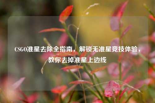 CSGO准星去除全指南,解锁无准星竞技体验,教你去掉准星上边线