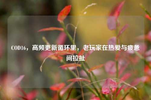 COD16,高频更新循环里,老玩家在热爱与疲惫间拉扯