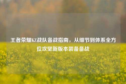 王者荣耀KZ战队备战指南,从细节到体系全方位攻坚新版本装备备战