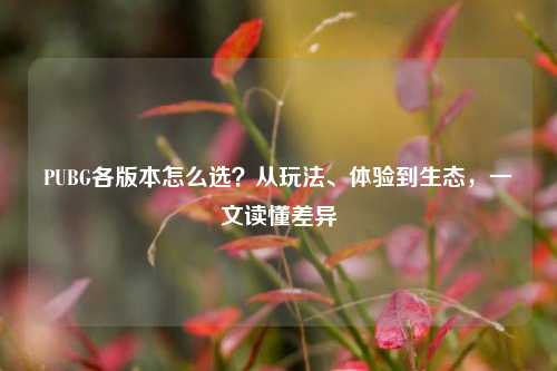 PUBG各版本怎么选?从玩法、体验到生态,一文读懂差异