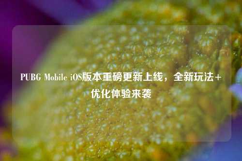 PUBG Mobile iOS版本重磅更新上线,全新玩法+优化体验来袭