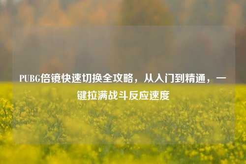 PUBG倍镜快速切换全攻略,从入门到精通,一键拉满战斗反应速度