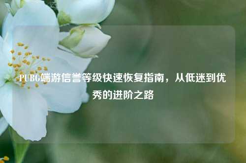 PUBG端游信誉等级快速恢复指南,从低迷到优秀的进阶之路